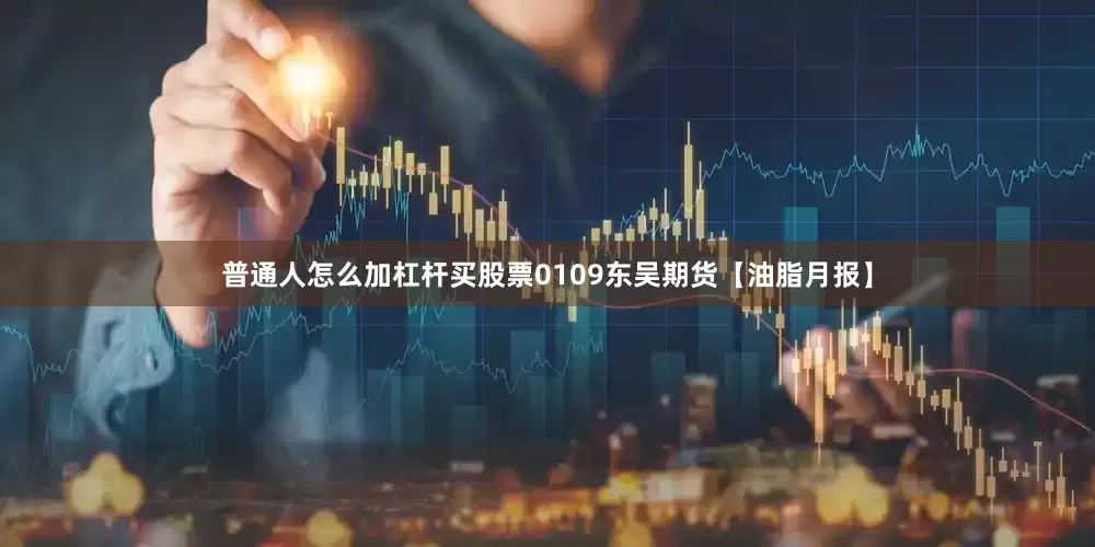普通人怎么加杠杆买股票0109东吴期货【油脂月报】