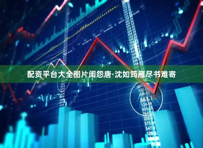 配资平台大全图片闺怨唐·沈如筠雁尽书难寄