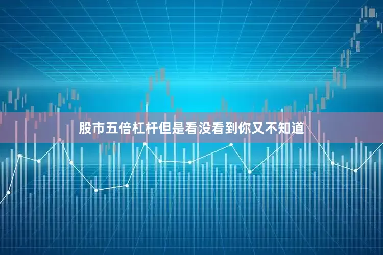 股市五倍杠杆但是看没看到你又不知道