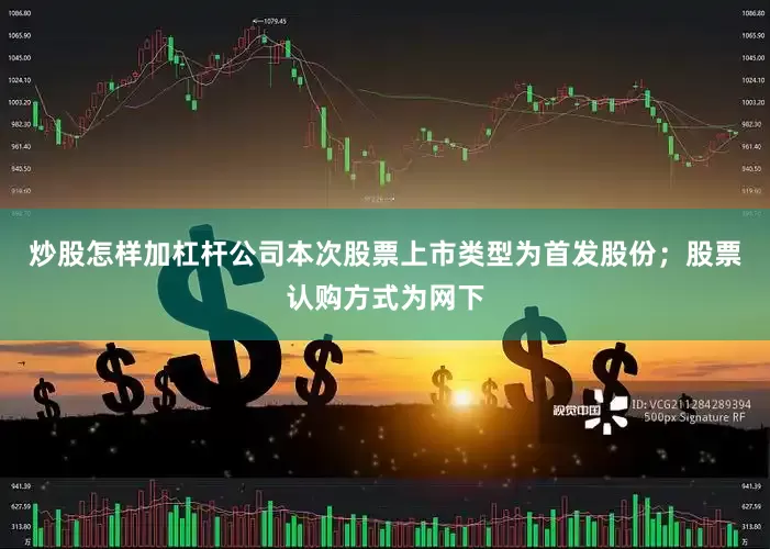 炒股怎样加杠杆公司本次股票上市类型为首发股份；股票认购方式为网下