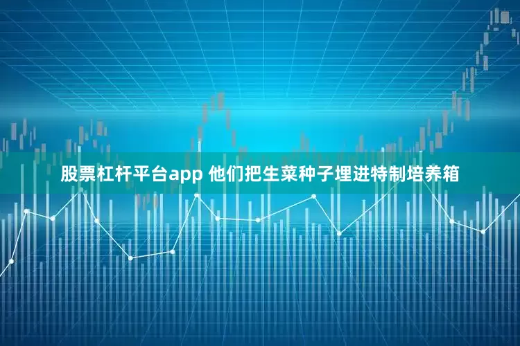 股票杠杆平台app 他们把生菜种子埋进特制培养箱